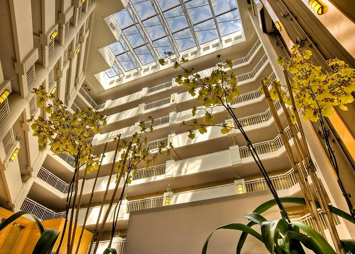  Hilton