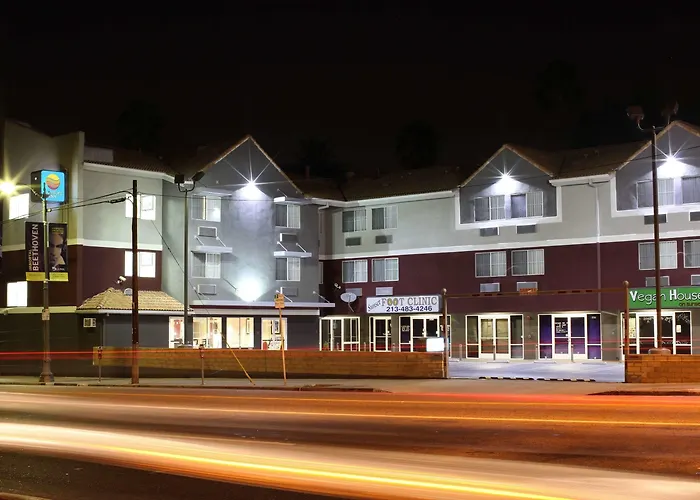 Comfort Near Hollywood